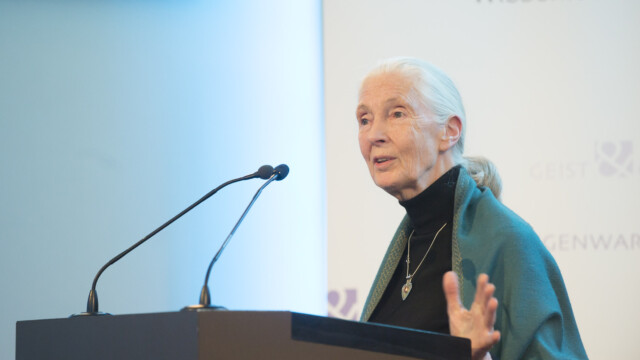 copyright by Foto Fischer