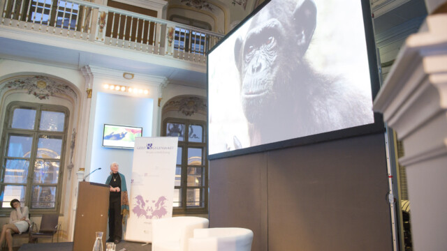 copyright by Foto Fischer